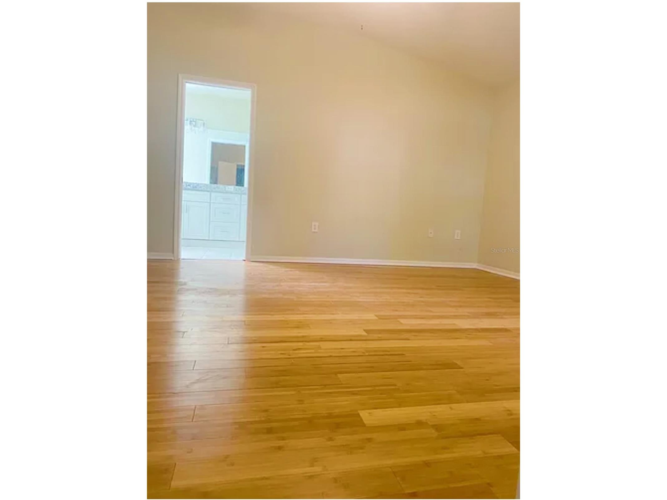 15534 Martinmeadow Drive Lithia FL 33547 TB8519146 image5