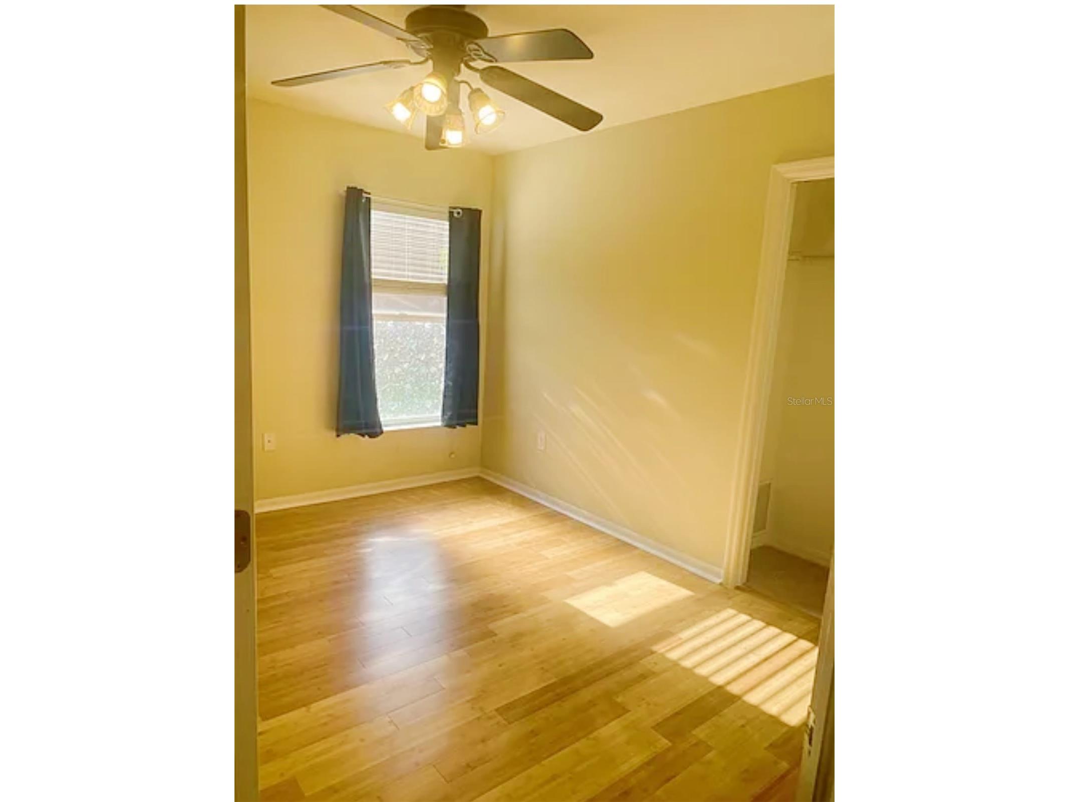 15534 Martinmeadow Drive Lithia FL 33547 TB8519146 image6