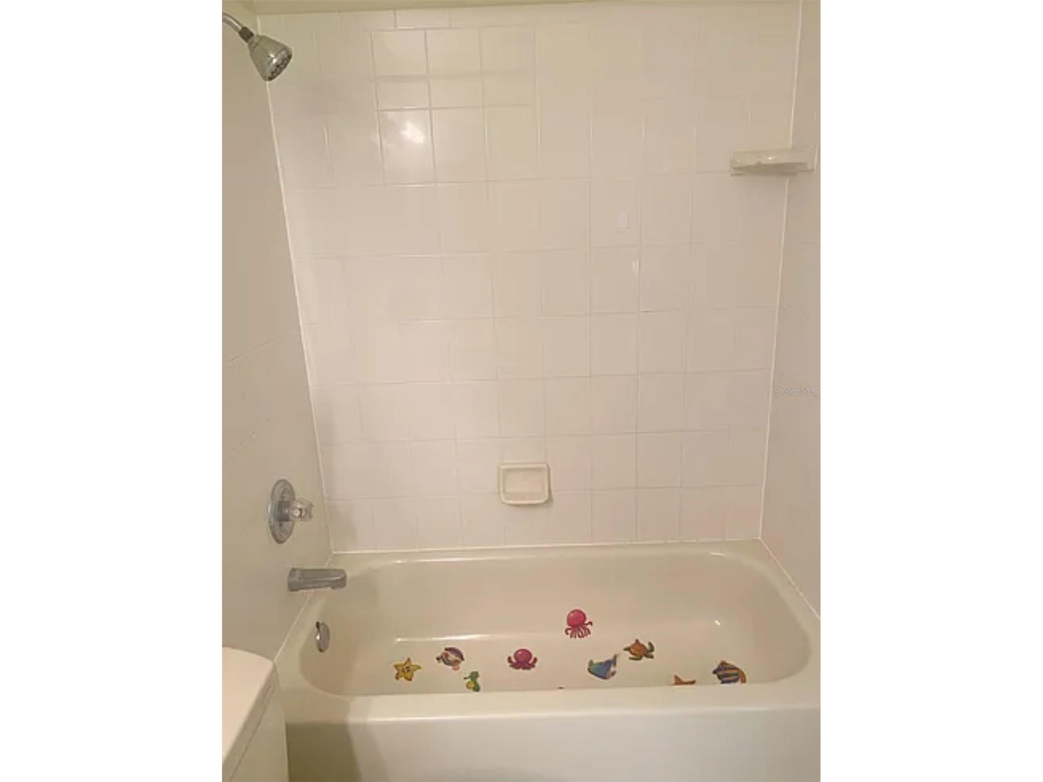 15534 Martinmeadow Drive Lithia FL 33547 TB8519146 image9