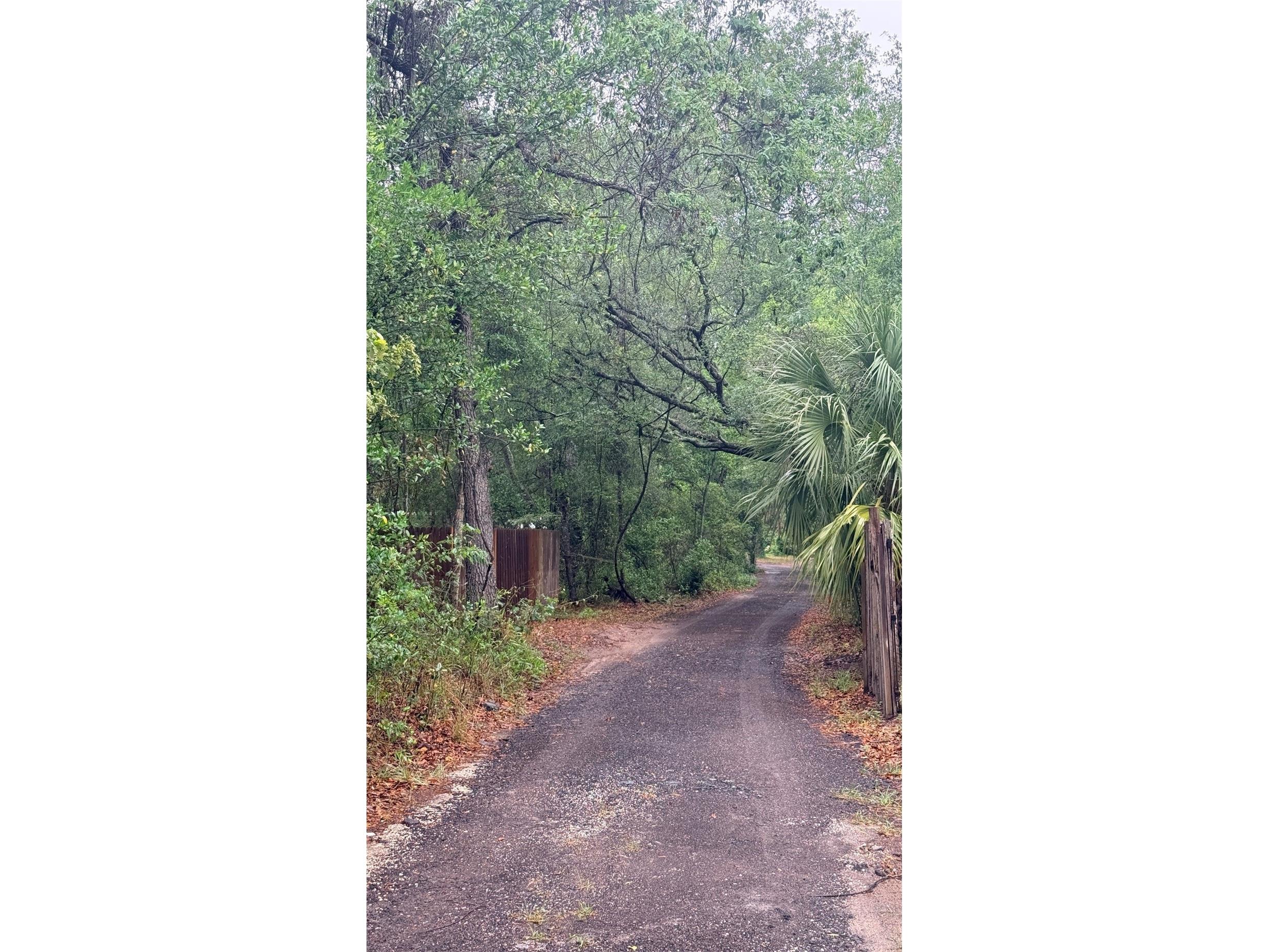 15535 Little Ranch Road Spring Hill FL 34610 TB8505056 image39