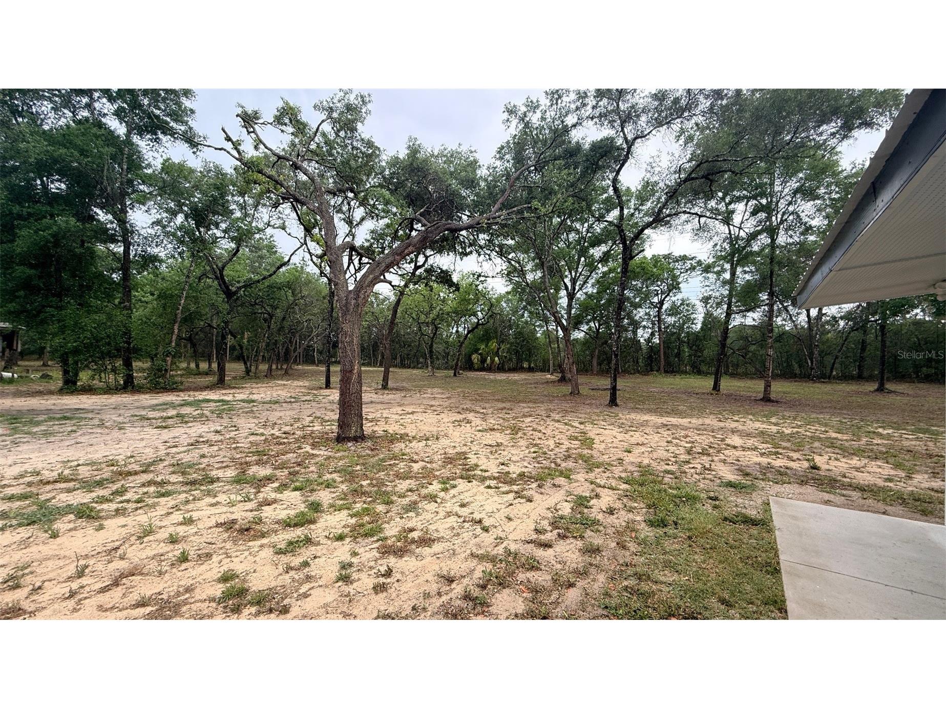 15535 Little Ranch Road Spring Hill FL 34610 TB8505056 image40