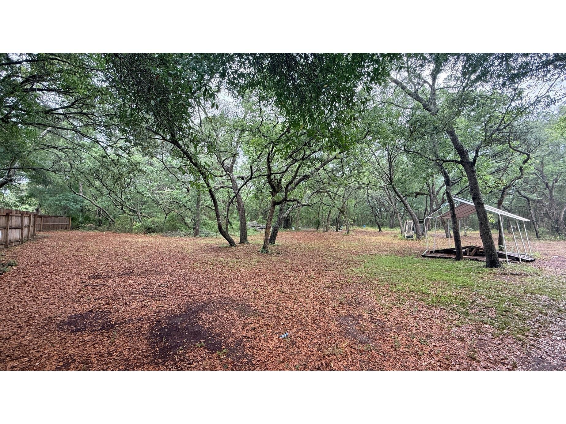 15535 Little Ranch Road Spring Hill FL 34610 TB8505056 image44