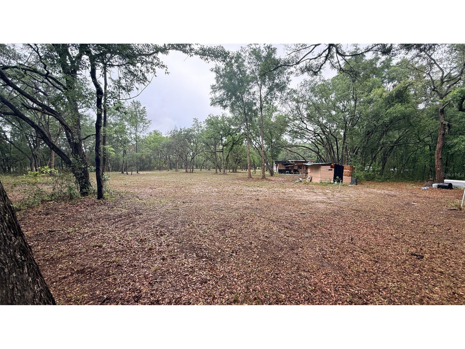 15535 Little Ranch Road Spring Hill FL 34610 TB8505056 image45