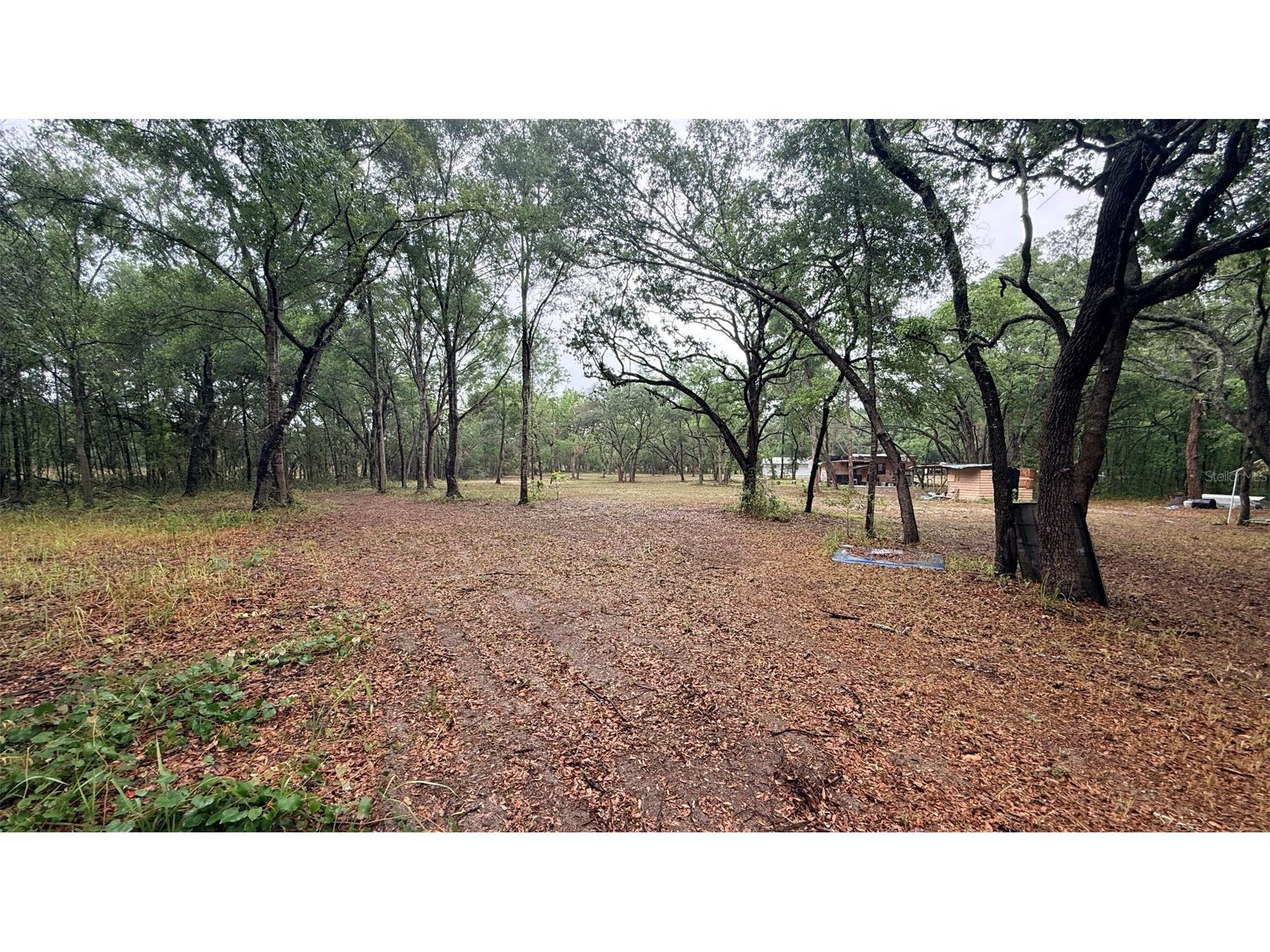 15535 Little Ranch Road Spring Hill FL 34610 TB8505056 image46