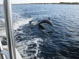 15536 & 15544 Hennipen Circle Port Charlotte FL 33981 - LAKELAND WATERWAY C7445105 image12