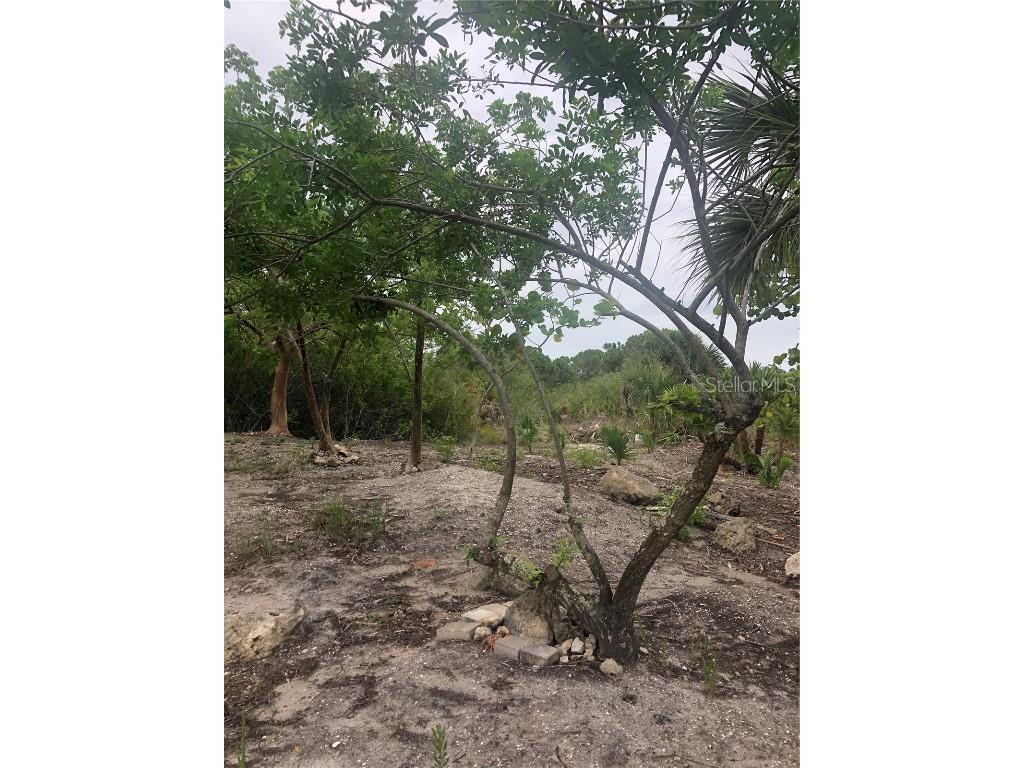 15536 & 15544 Hennipen Circle Port Charlotte FL 33981 - LAKELAND WATERWAY C7445105 image8