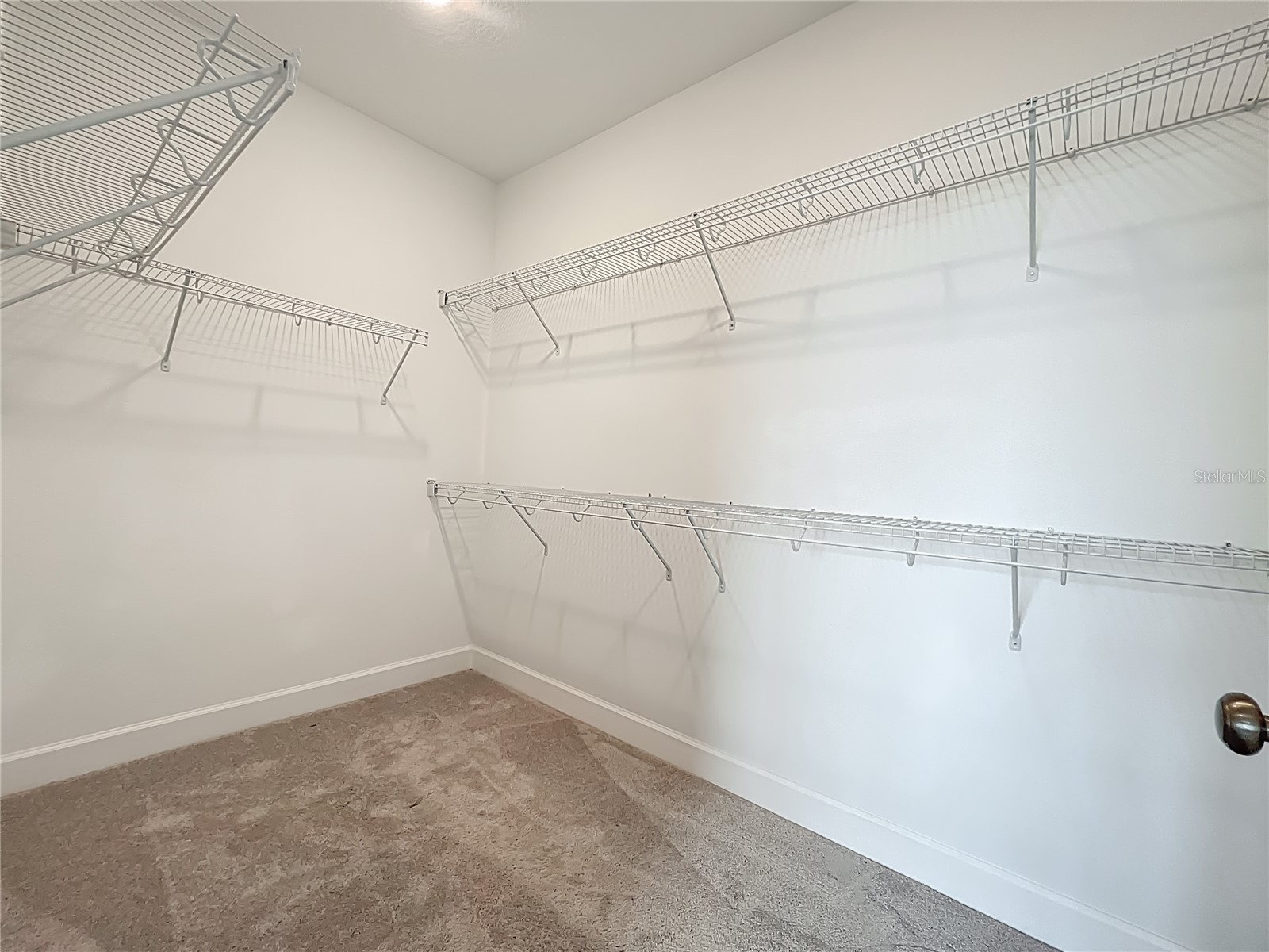 15536 Gentle Rain Drive Winter Garden FL 34787 S5136128 image21