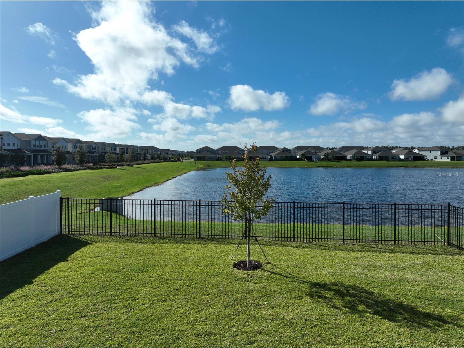 15536 Gentle Rain Drive Winter Garden FL 34787 S5136128 image42