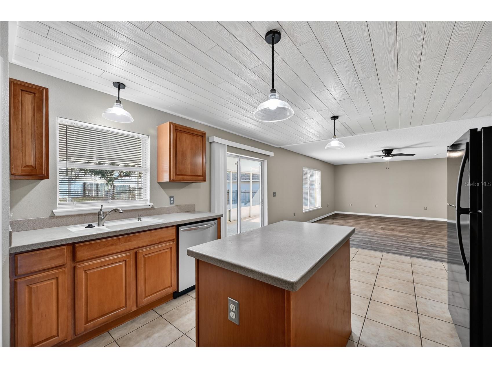 15536 Merlin Avenue Mascotte FL 34753 O6402182 image14