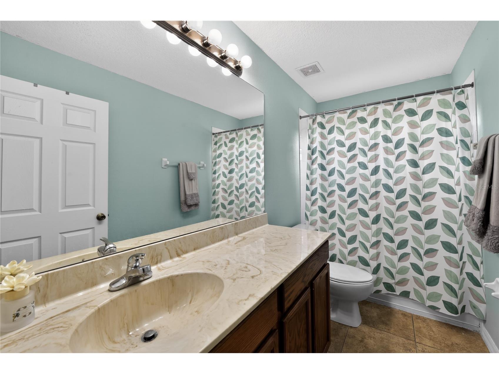 15536 Telford Spring Drive Sun City Center FL 33573 TB8482853 image29