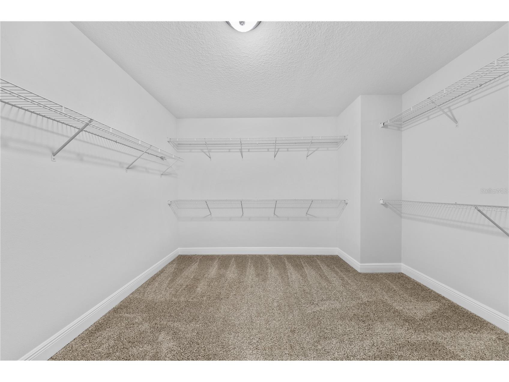 15537 Mango Isle Street Winter Garden FL 34787 S5150619 image32