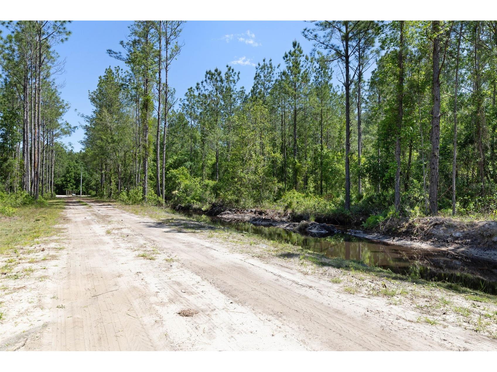 15539 County Rd 305 Bunnell FL 32110 FC317953 image36