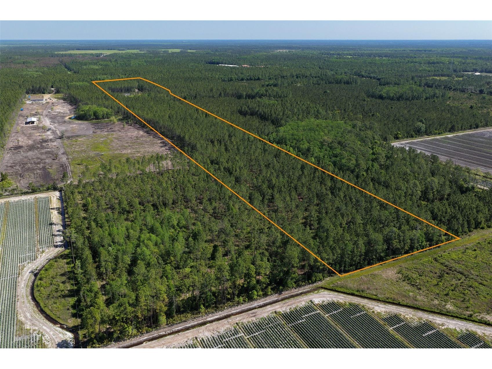 15539 County Rd 305 Bunnell FL 32110 FC317953 image53