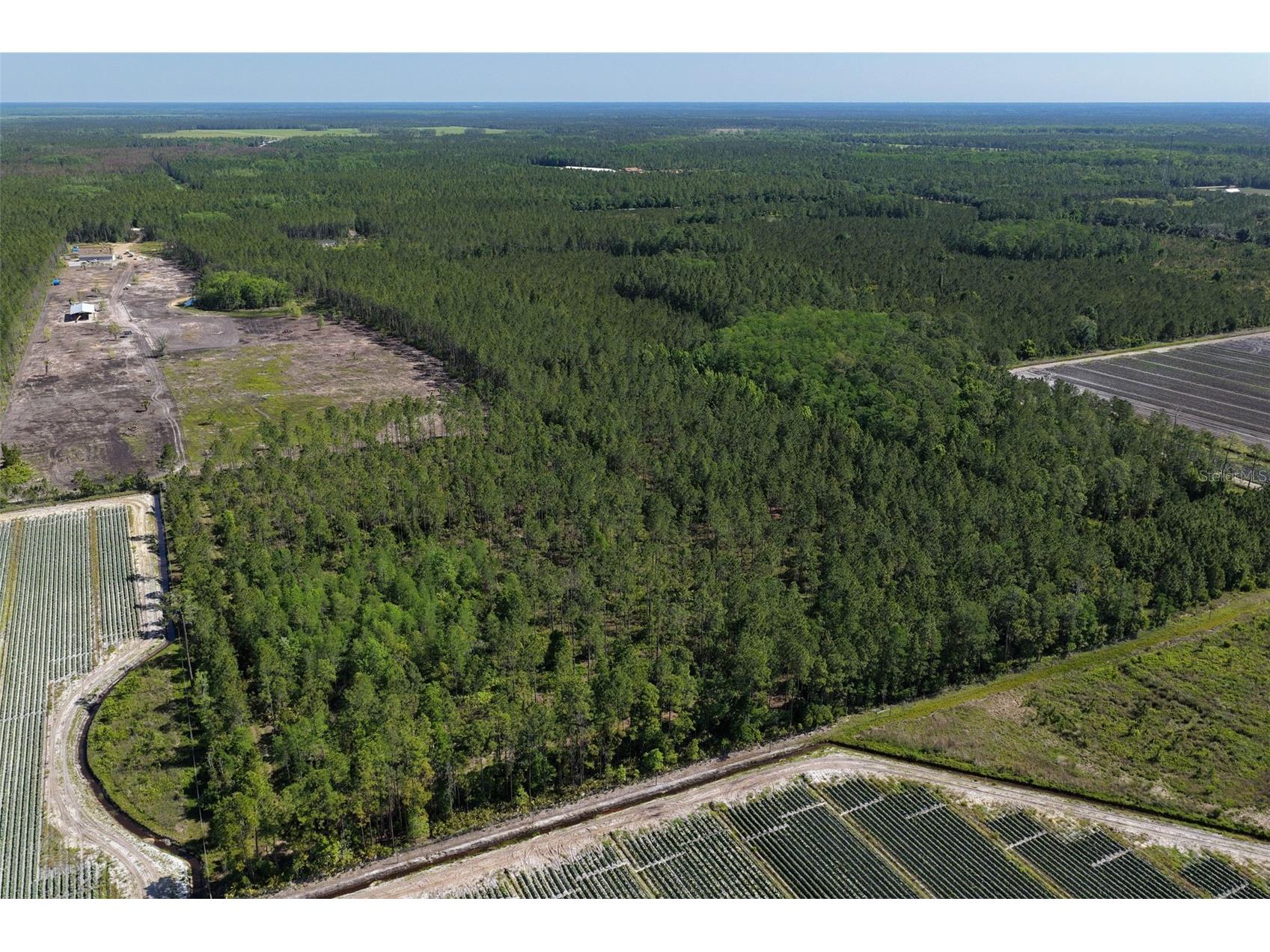 15539 County Rd 305 Bunnell FL 32110 FC317953 image54