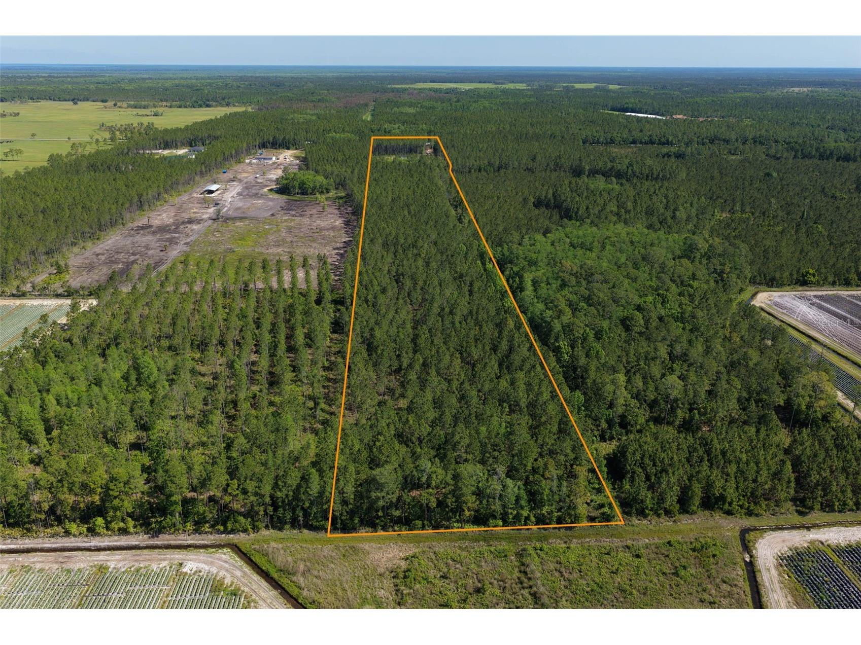 15539 County Rd 305 Bunnell FL 32110 FC317953 image55