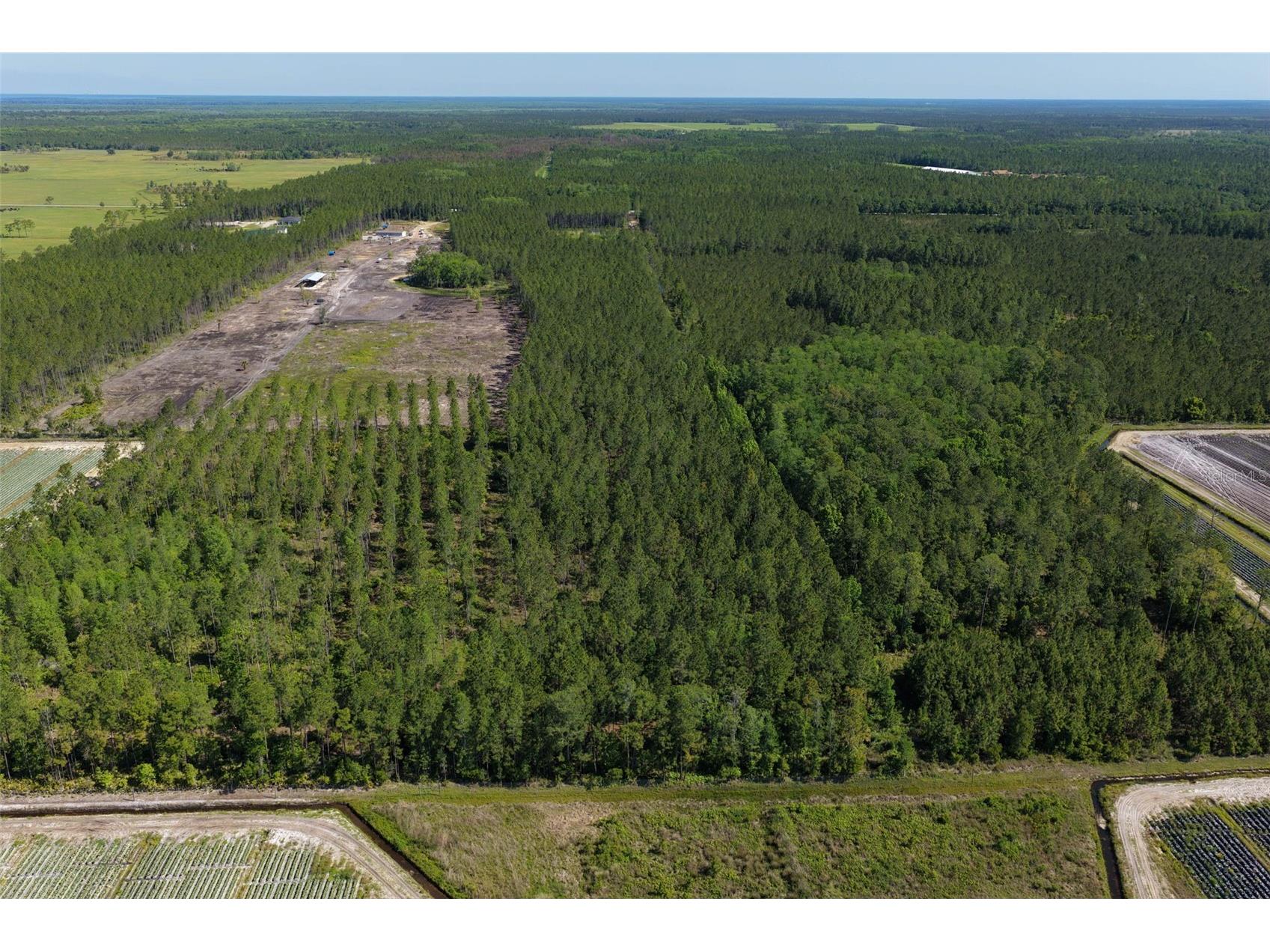 15539 County Rd 305 Bunnell FL 32110 FC317953 image56