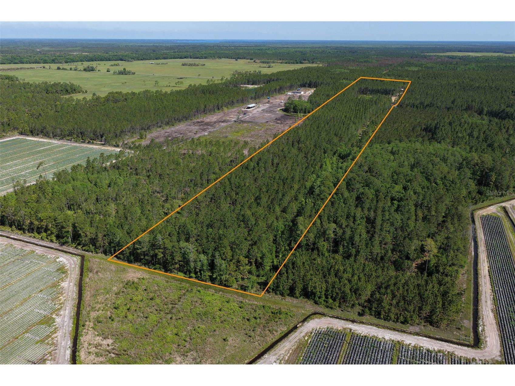 15539 County Rd 305 Bunnell FL 32110 FC317953 image57