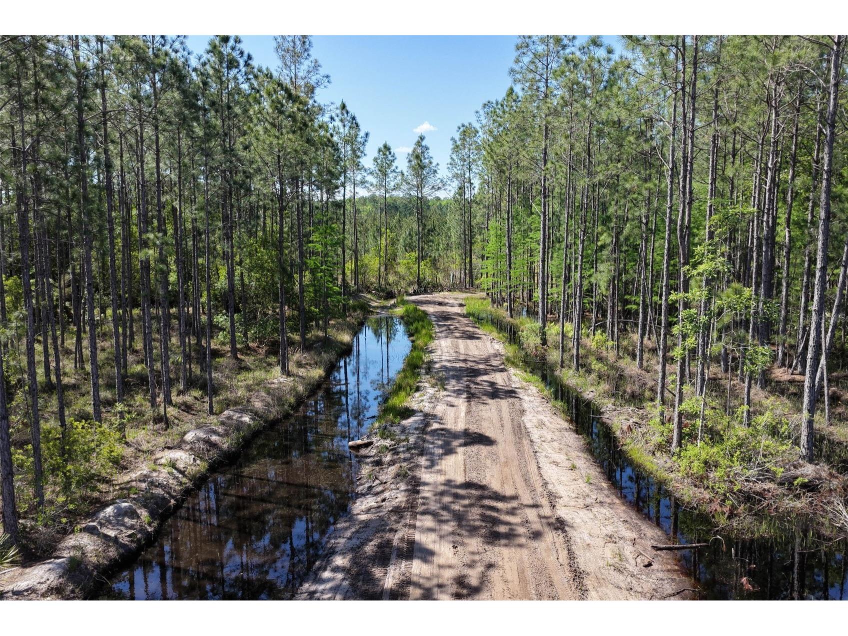 15539 County Rd 305 Bunnell FL 32110 FC317953 image59