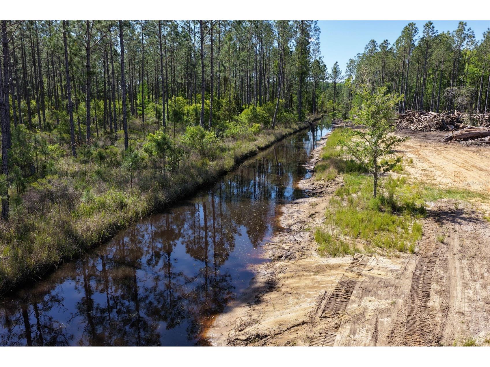 15539 County Rd 305 Bunnell FL 32110 FC317953 image60
