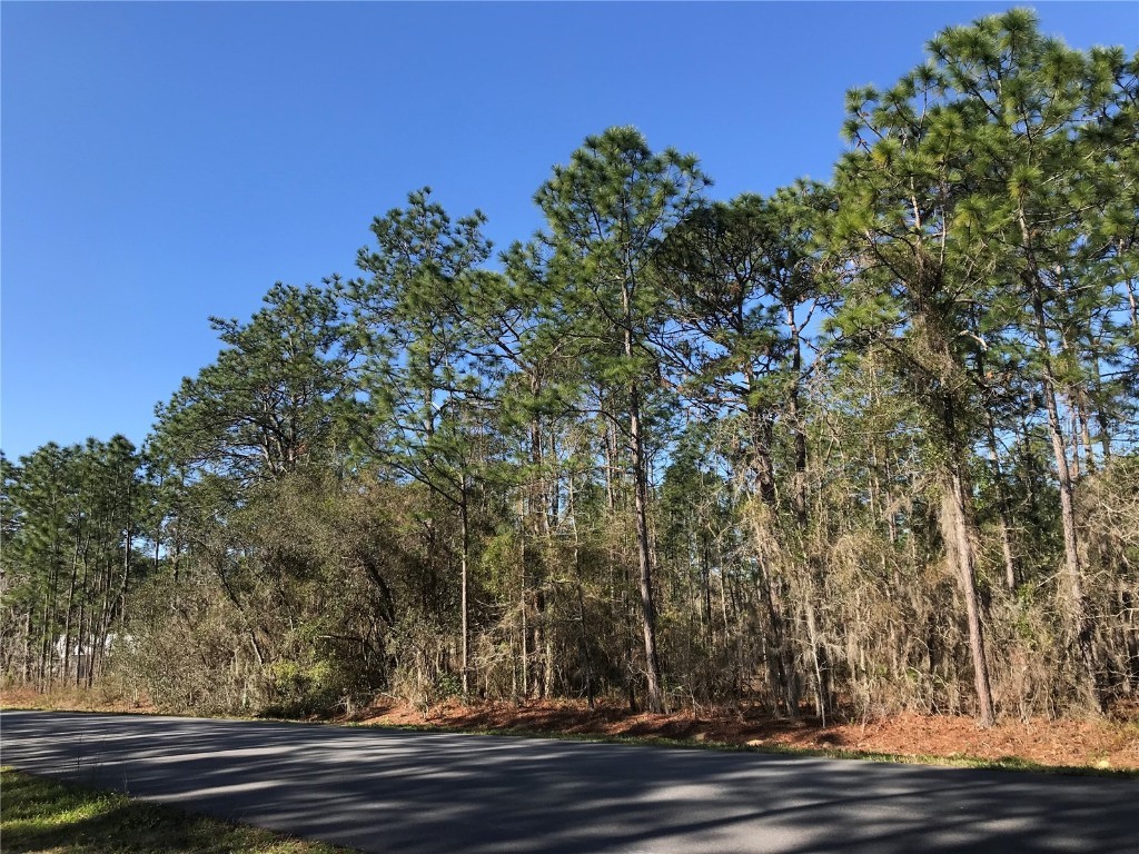 1554 Cr 243b Lot #95 Wildwood FL 34785 G5078937 image1