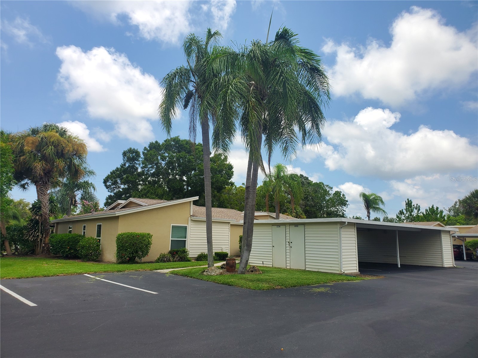 1554 Glen Court #A Dunedin FL 34698 TB8471754 image20