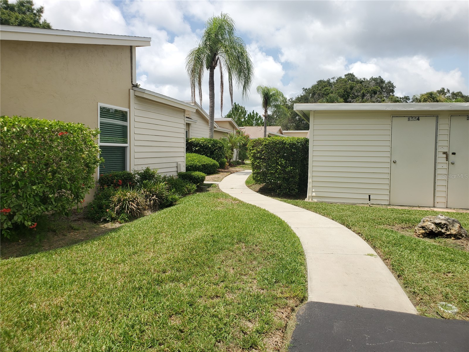 1554 Glen Court #A Dunedin FL 34698 TB8471754 image23
