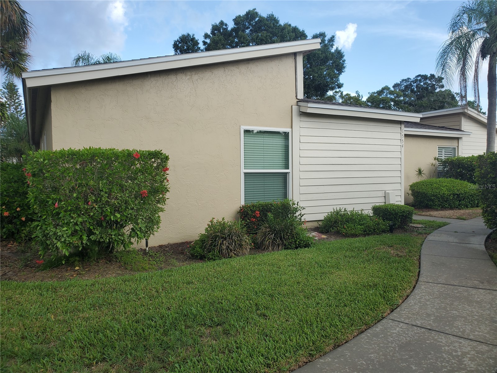 1554 Glen Court #A Dunedin FL 34698 TB8471754 image24