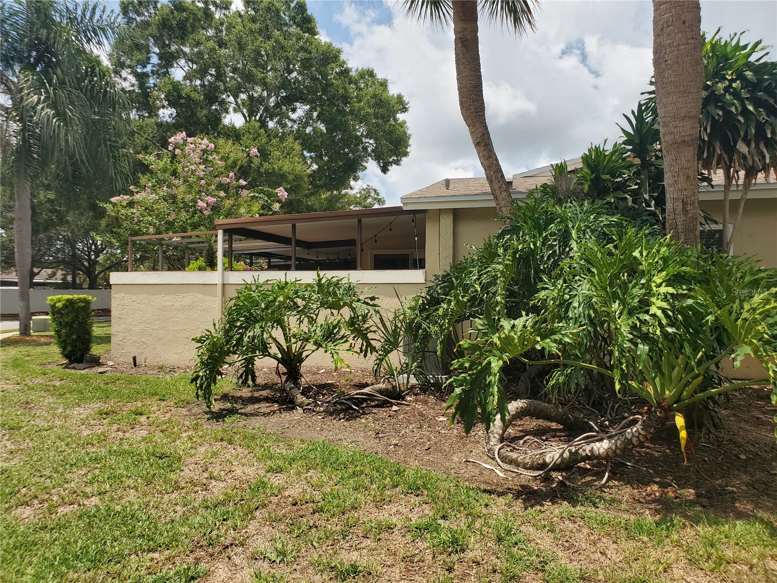 1554 Glen Court #A Dunedin FL 34698 TB8471754 image26