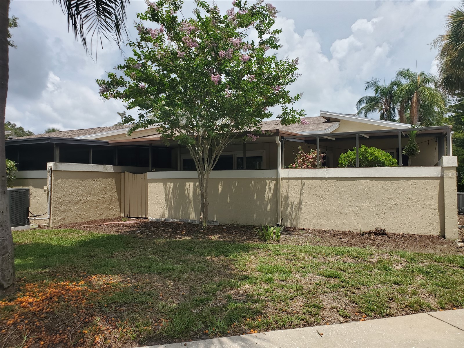 1554 Glen Court #A Dunedin FL 34698 TB8471754 image27