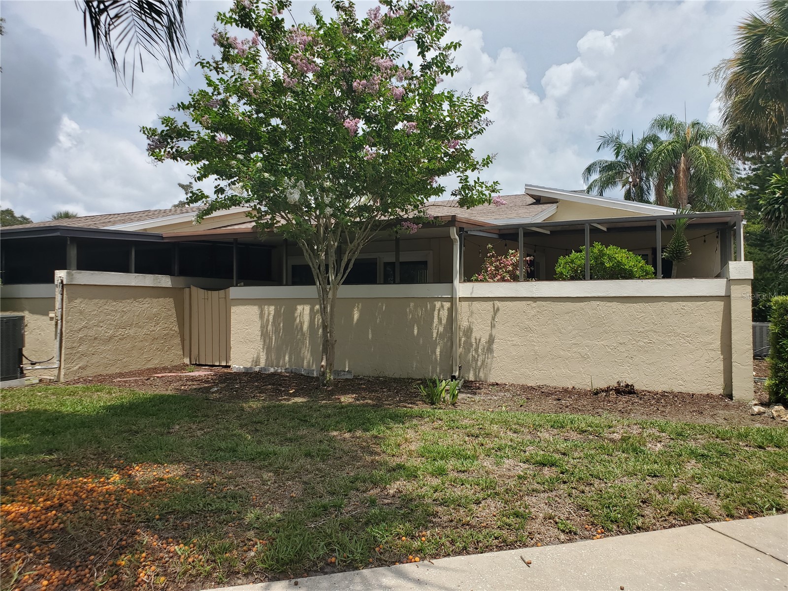 1554 Glen Court #A Dunedin FL 34698 TB8471754 image28