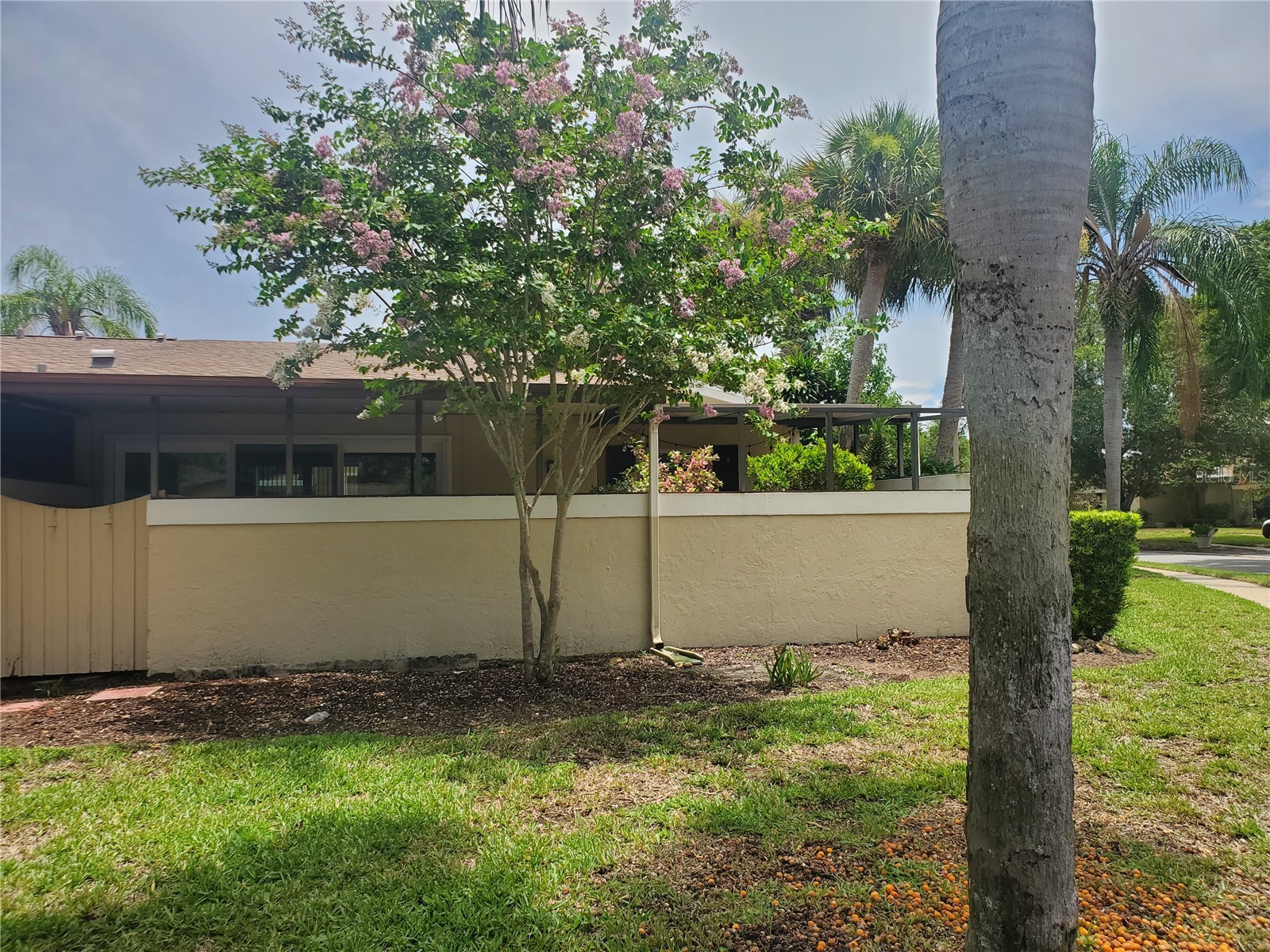 1554 Glen Court #A Dunedin FL 34698 TB8471754 image29