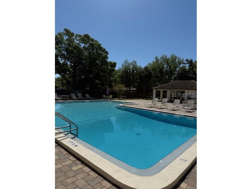 1554 Glen Court #A Dunedin FL 34698 TB8471754 image31