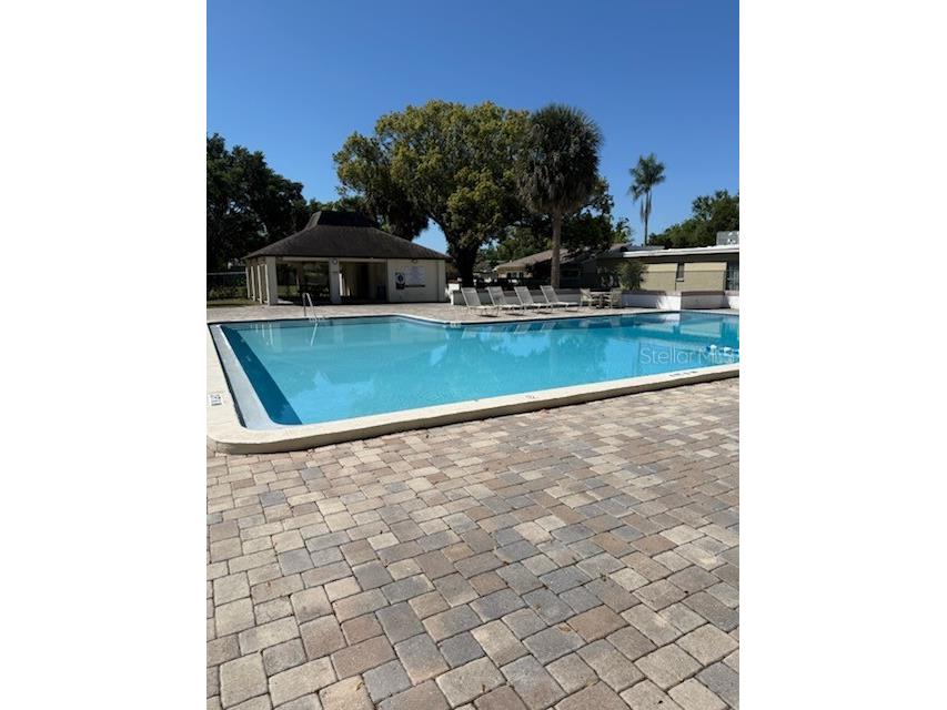 1554 Glen Court #A Dunedin FL 34698 TB8471754 image32