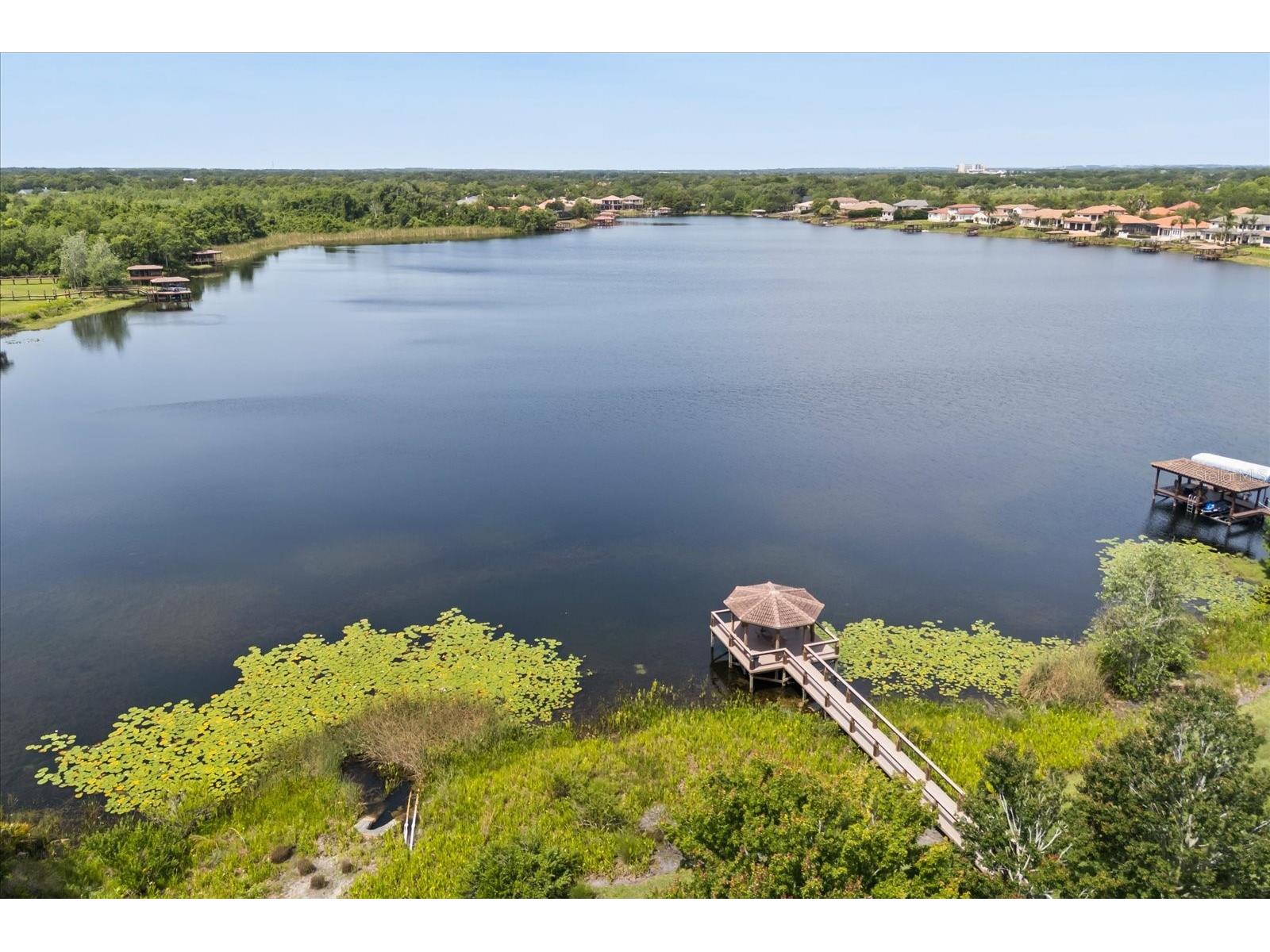 1554 Lake Rhea Drive Windermere FL 34786 O6406297 image59
