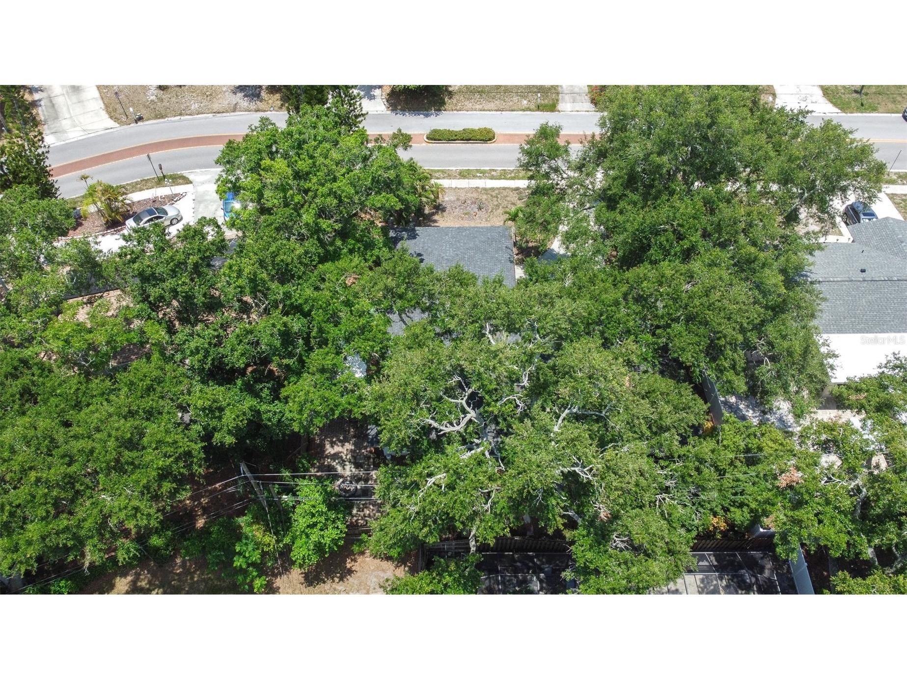 1554 Linwood Drive Clearwater FL 33755 TB8517011 image64