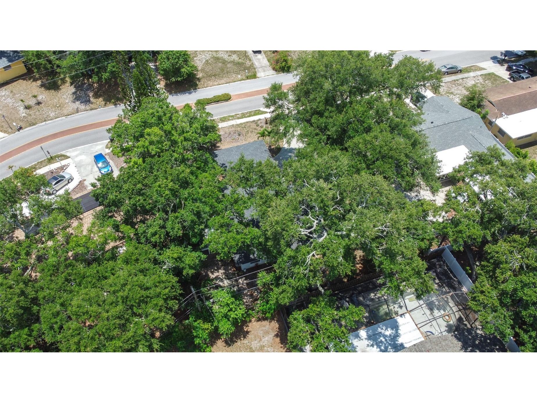 1554 Linwood Drive Clearwater FL 33755 TB8517011 image65