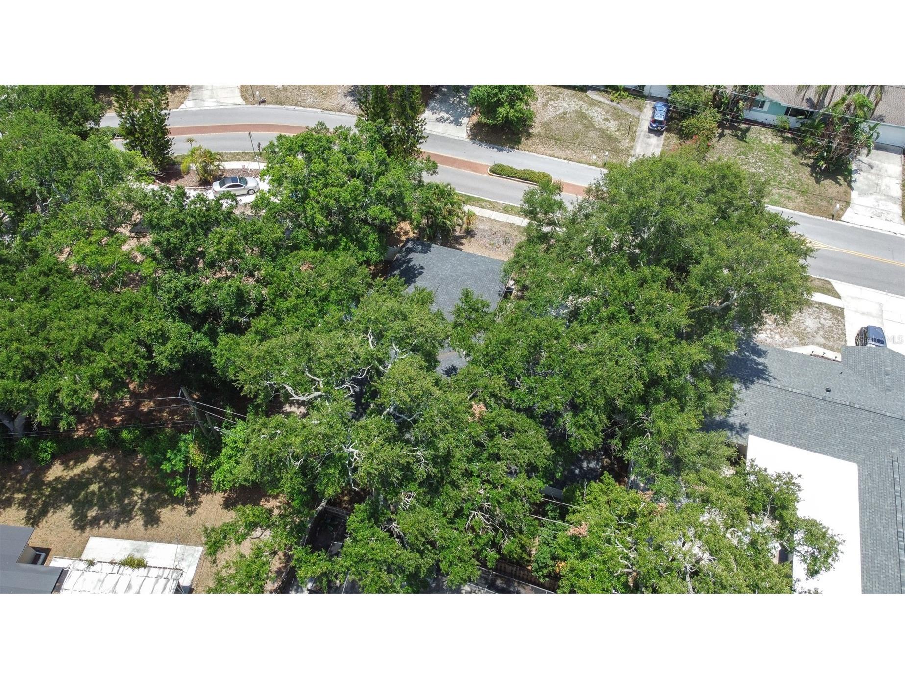 1554 Linwood Drive Clearwater FL 33755 TB8517011 image66