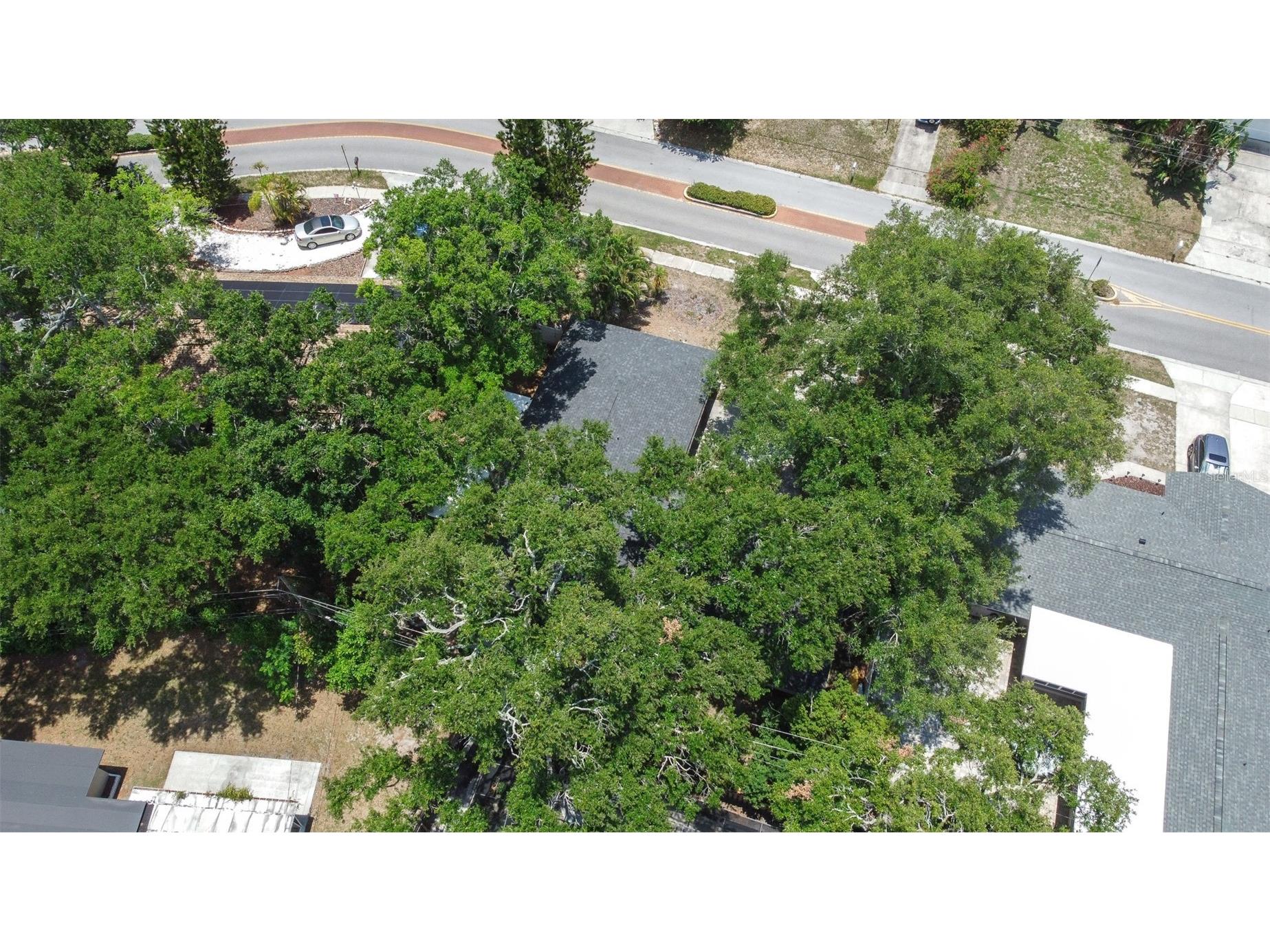 1554 Linwood Drive Clearwater FL 33755 TB8517011 image67