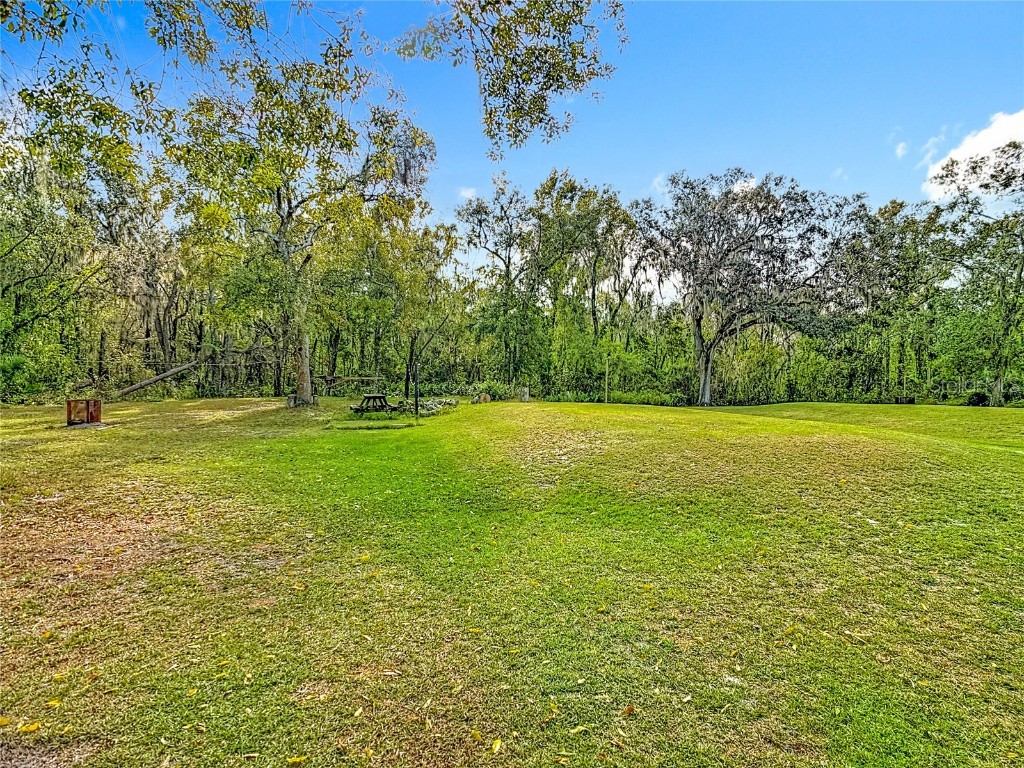 1554 Lunn Woods Trail Lakeland FL 33811 L4957826 image49