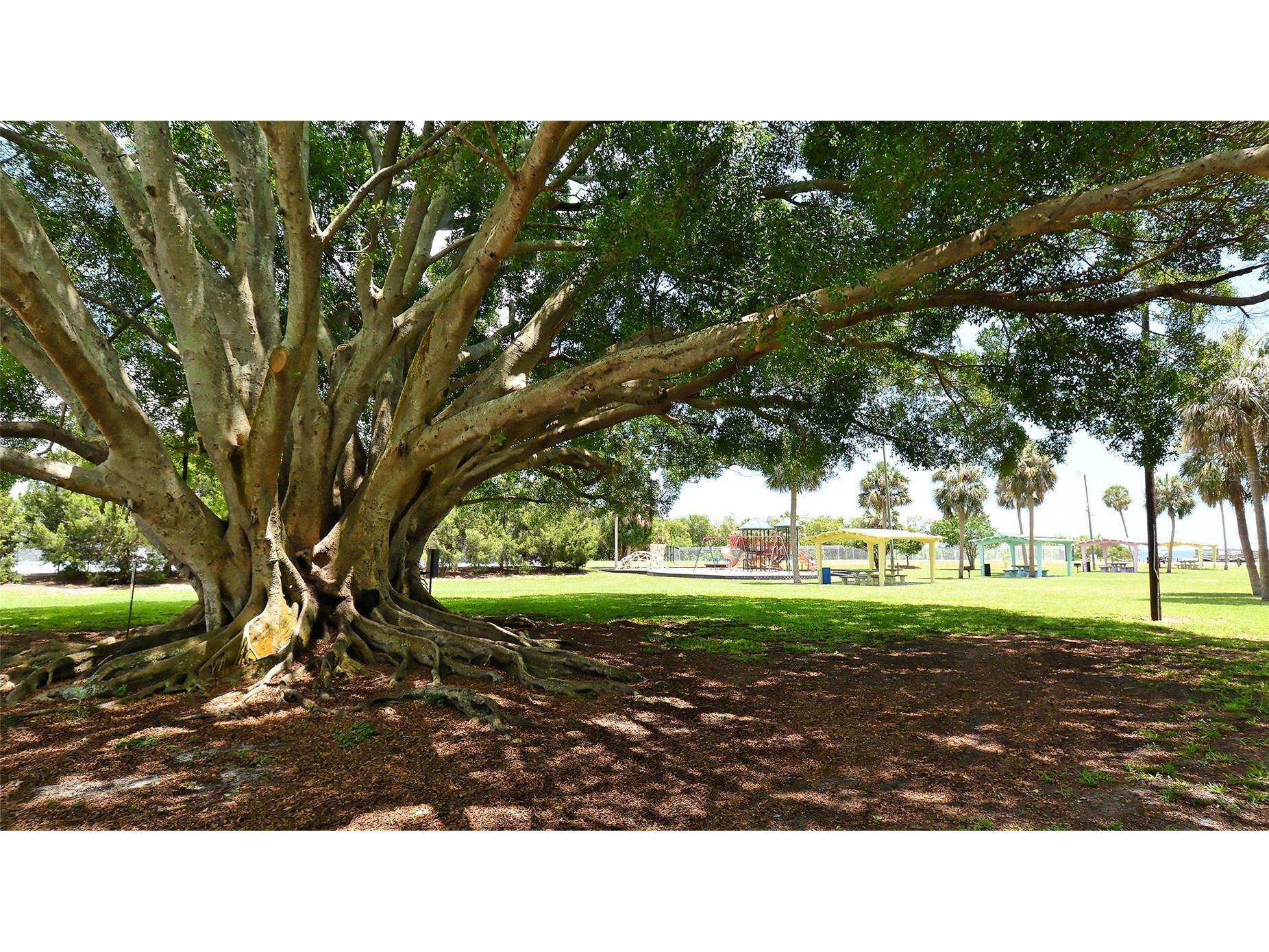 1554 Pleasant Road #J5 Bradenton FL 34207 A4691298 image28
