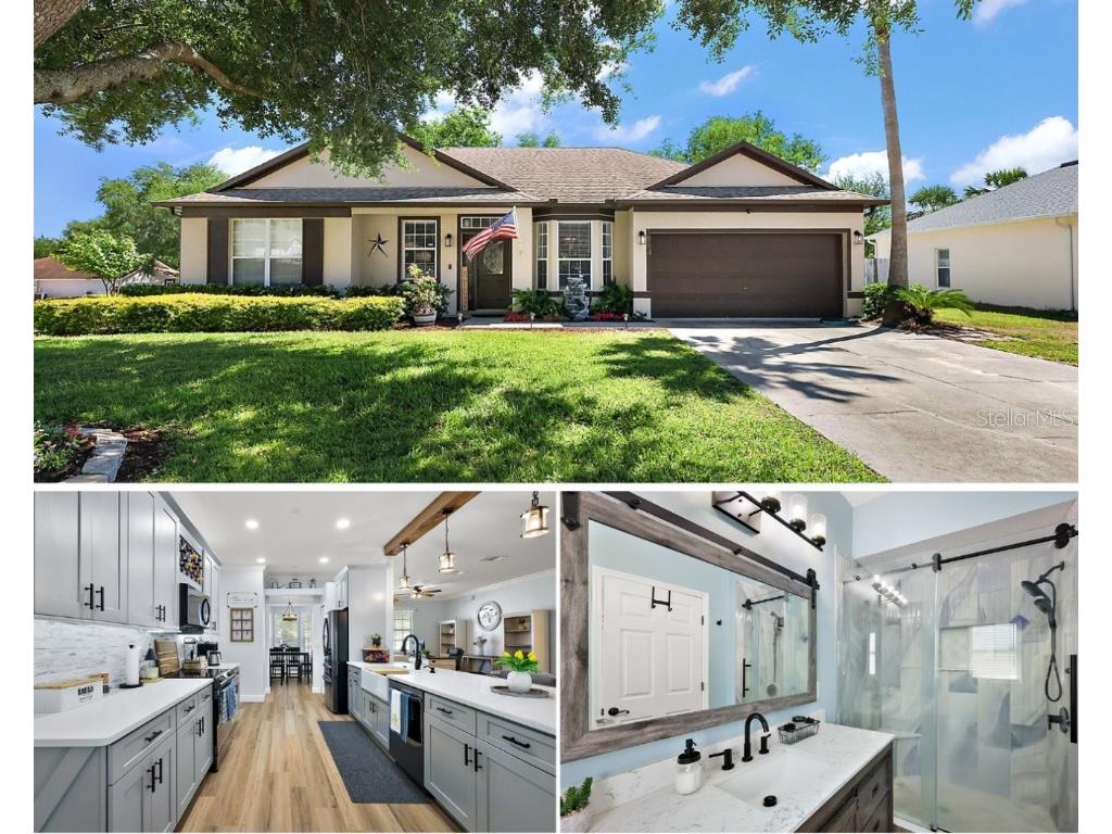 1554 Sarus Avenue Groveland FL 34736 G5095781 image1