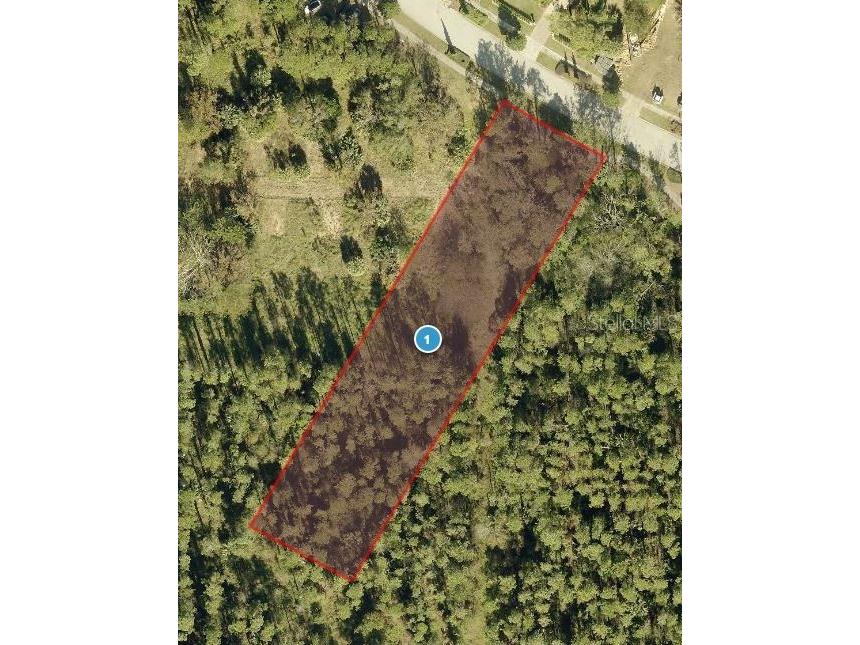 15540 Pendio Drive FL 34756 J984179 image1