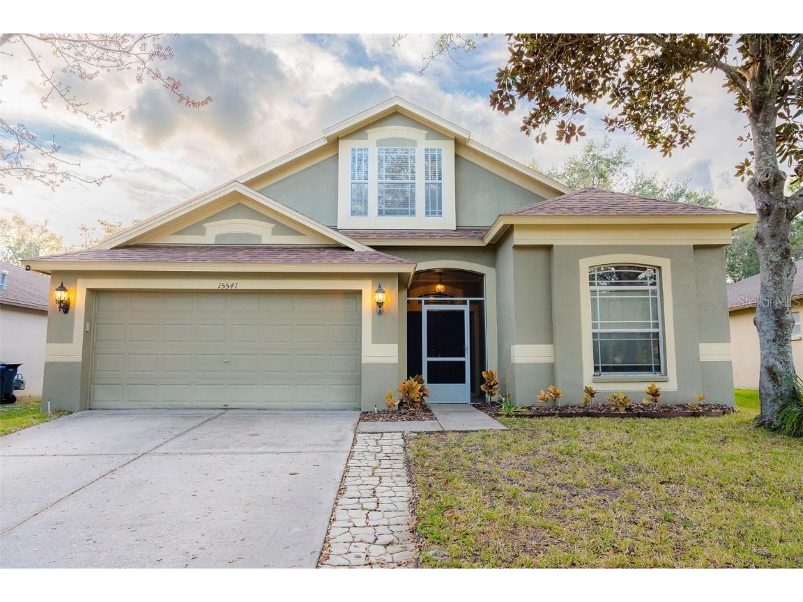 15541 Martinmeadow Drive Lithia FL 33547 T3423847 image1