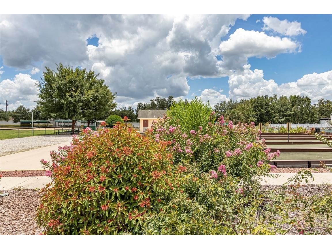 15541 SW 11th Terrace Road Ocala FL 34473 OM706984 image64