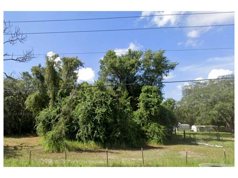 15542 Peace Boulevard Spring Hill FL 34610 TB8428172 image1