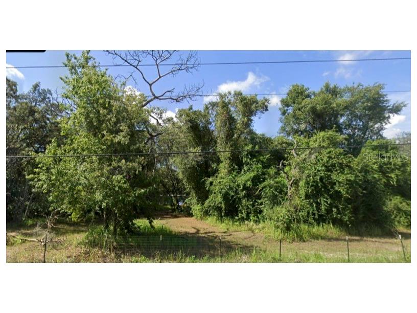 15542 Peace Boulevard Spring Hill FL 34610 TB8428172 image2