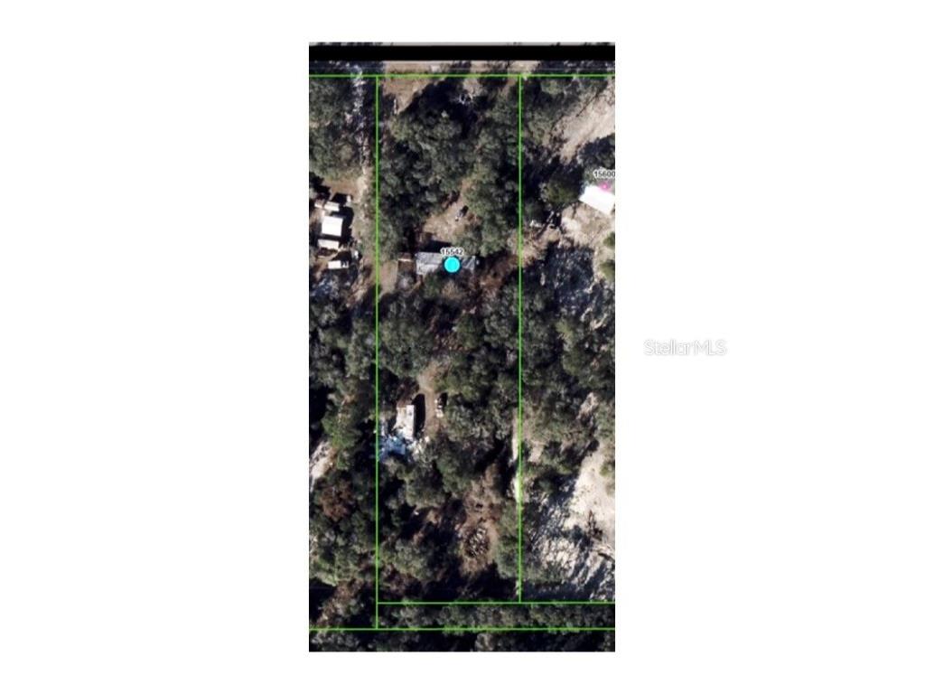 15542 Peace Boulevard Spring Hill FL 34610 TB8428172 image3