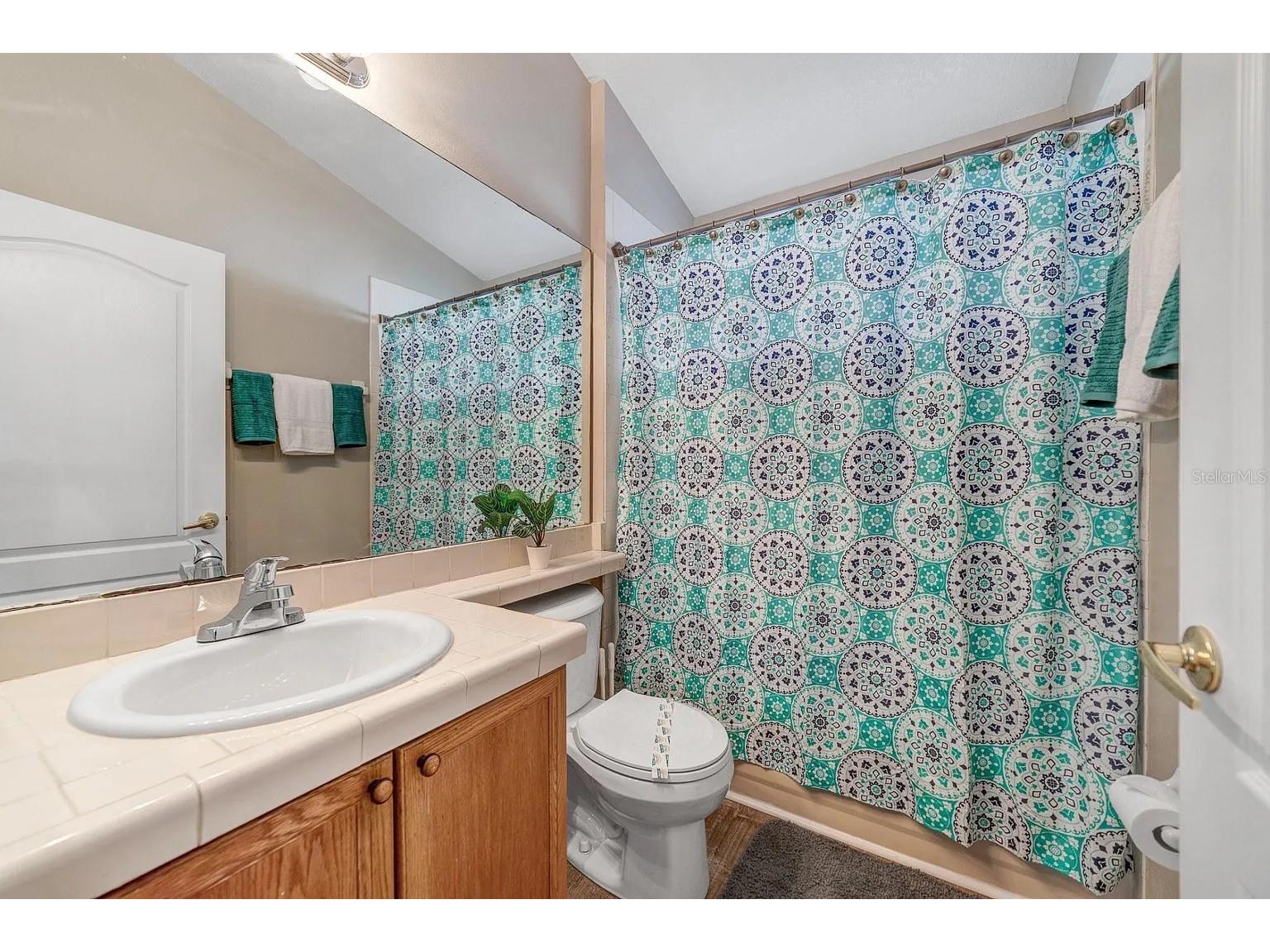 15543 Bay Vista Drive Clermont FL 34714 G5110331 image14