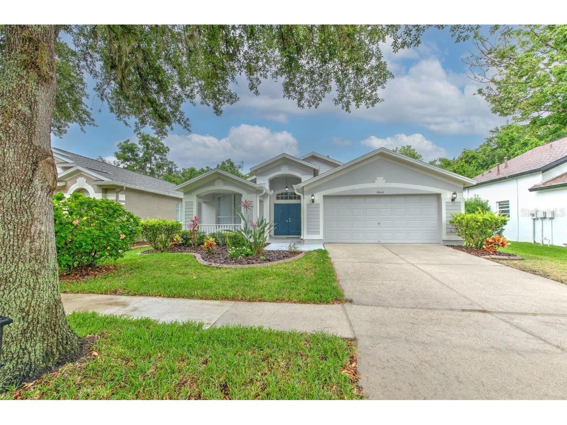 15543 Martinmeadow Drive Lithia FL 33547 TB8309002 image1