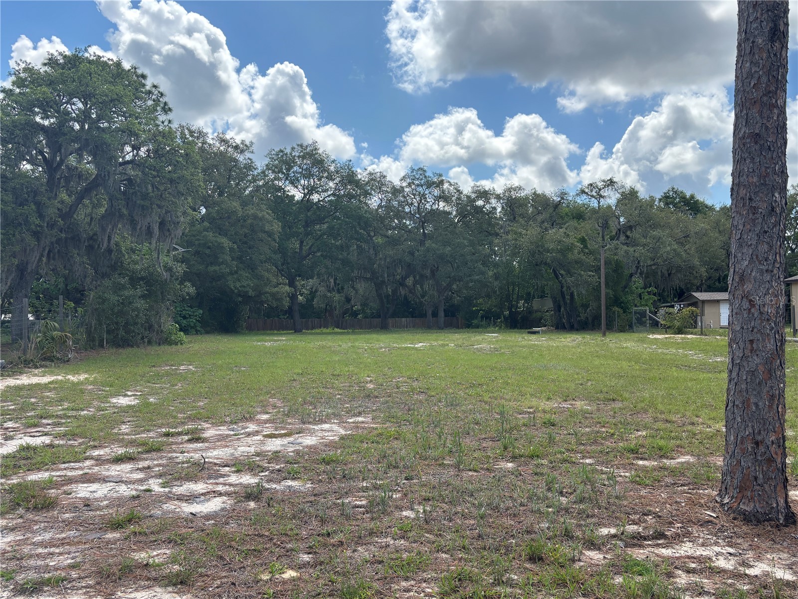 15546 Hicks Road Hudson FL 34667 W7885919 image5
